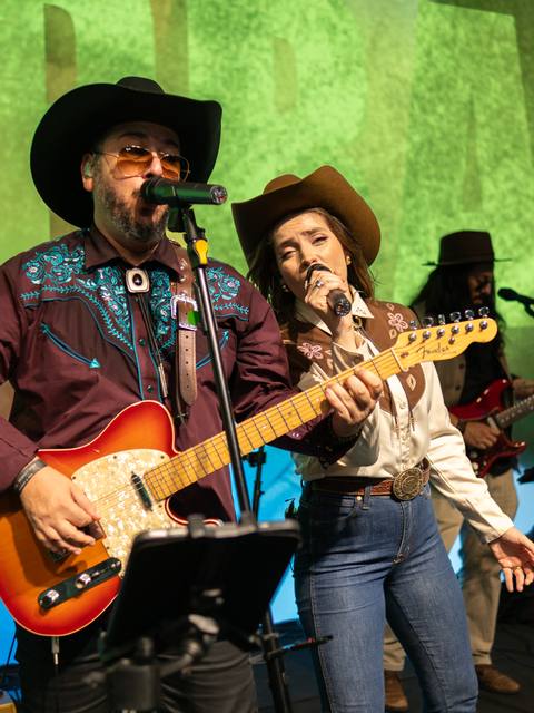 Guitarrista e vocalista dos Folkadelicos num show com telão verde